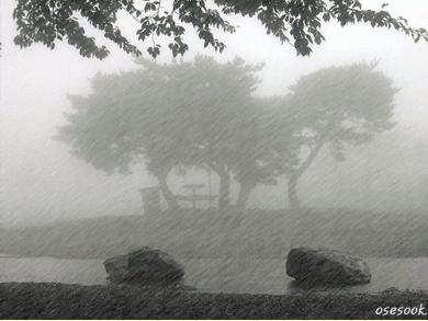 rainy afternoon
